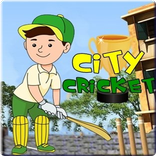 City Cricket