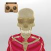 Anatomia VR aplikacja