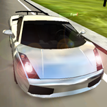”Mega Car Driving Simulator