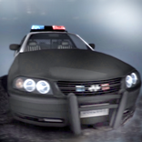 ”Police Highway Driver