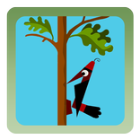 ”Woodpecker Backyard Woodcutter