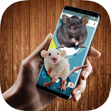 ”mouse on screen scary joke