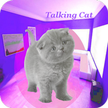 Talking Cat