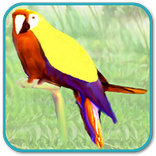 Talking Parrot