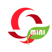 Browser Opera Mini VPN Advice APK