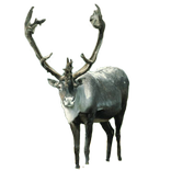 Reindeer Front Sticker