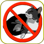 ANTI CAT
