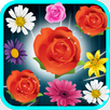 Blossom Match 3 APK