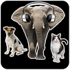 Animal Sounds APK