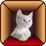 Cat Simulator