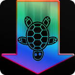 Swim Down