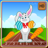 Bunny Run Crash