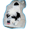 Lilly: DNS Setter APK