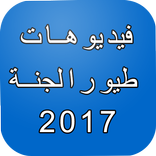 طيور بيبي 2017