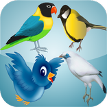 Birds Inline