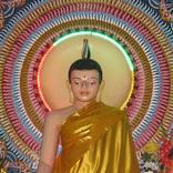 Buddha Quotes