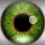 Visual Illusion