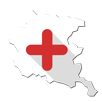 FVG Emergency Room APK