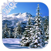 Winter Pro Live Wallpaper APK