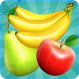 Fruit Splash