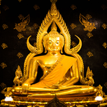 प्रबुद्ध