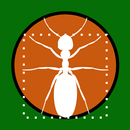 Ant Zen APK