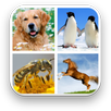 Animal Sounds APK
