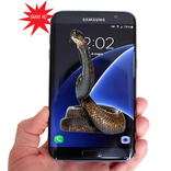 Screen with Snake
