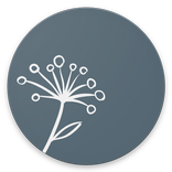 Breathe: Air Quality Index