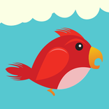 Flying Bird Pilot