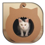 Kedi Evi Tasarımı