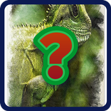 Guessing Home pets