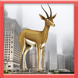 3D Gazelle Simulator