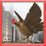 Rooster Rampage