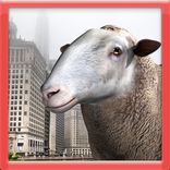 Sheep Game