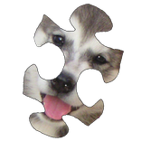 Puppies Puzzle HD
