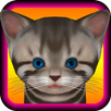 Cute Kitten - virtual pet cat to take care APK