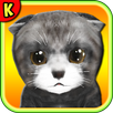 Homeless Cat : take care this virtual pet APK