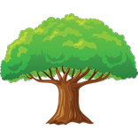 Apple Tree