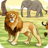 Wild Animals Wild Life
