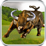 Real Angri Bull