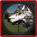 Wild Wolf Shooting
