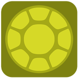 Swim Turtle Swim