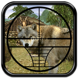 Hunting Jungle Wolf