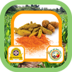 हळद लागवड VNMKV Parbhani APK