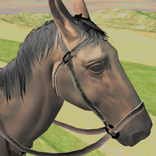 Horse Simulator Games 2017