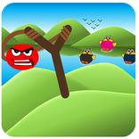 Knock Down FARM