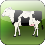 Moo Cow Milk Mania