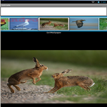 Zoo App