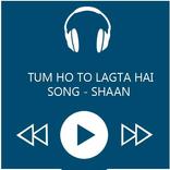 ”Shaan's Tum Ho Toh Lagta Song